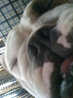 iphone022210 108.webp