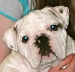 Sadie Profile Pic.webp