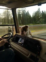 arnold in motorhome.webp