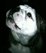 IMAG0137-1-1-1.webp