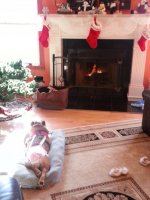 clara waiting for santa.jpg