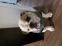 photo1.webp