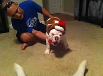 ImageUploadedByTapatalk1350261786.672677.webp