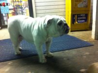 RESCUE.jpg RESCUE.jpg