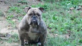 2012-09-30_08-25-18_575.jpg 2012-09-30_08-25-18_575.jpg