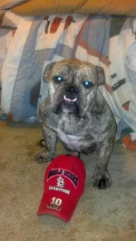 2012-10-14_21-21-27_953.webp