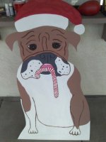IMG_20121128_153737.jpg