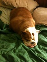 my bed.jpg
