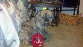 2012-10-14_21-19-17_131.webp