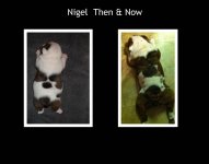 Nigel Then & Now.jpg