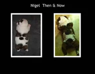 Nigel Then & Now.webp