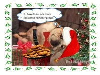 santa sarah.webp