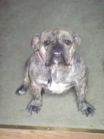 20120916163529.webp