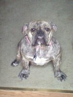 20120916163529.jpg