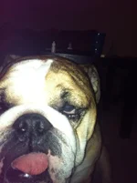 photo(22).webp
