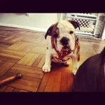 photo copy 7.webp
