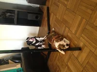 photo copy 9.webp