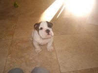 Dublin's first day home 4.jpg Dublin's first day home 4.jpg