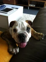 Jeffrey 048.webp