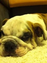 Jeffrey 065.webp