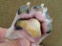 photo (2).jpg photo (2).jpg