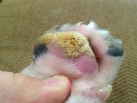 photo (3).jpg photo (3).jpg