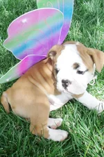Lola first year 012.webp