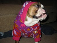 IMG_3053.jpg IMG_3053.jpg
