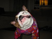 IMG_3064.jpg IMG_3064.jpg
