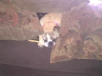 IMG_20120610_125039.webp