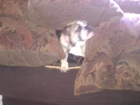 IMG_20120610_125016.webp