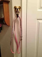 ImageUploadedByTapatalk1354331629.115539.webp