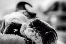 Ellie Mae 3.webp