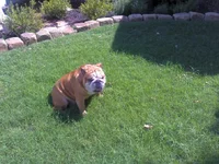 2012-08-11_16-03-49_805.webp