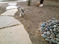 IMG_0685.jpg IMG_0685.jpg