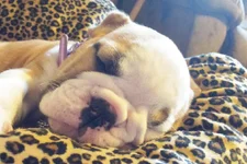 Lola first year 022.webp