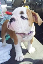 Lola first year 084.webp
