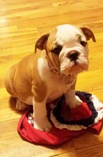 Lola first year 098.webp
