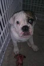 2012-06-12 14.26.27.webp