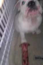 2012-06-12 14.26.02.webp