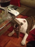 photo.webp photo.webp