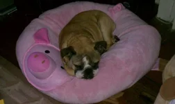 IMAG0336.webp