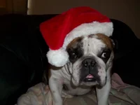 100_0747.webp