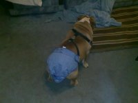 1284150699379.jpg 1284150699379.jpg