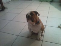 1020121012.jpg