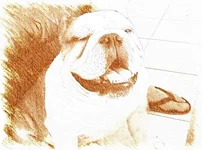 photo (2).webp