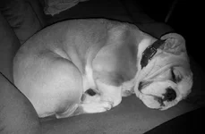 Lola first year one 003 - Copy.webp