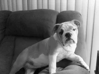 Lola first year one 011.webp
