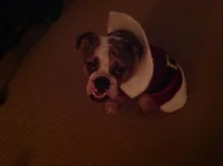 image.webp