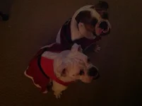 image.webp
